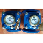 ĐỒNG HỒ NƯỚC TRUNG ĐỨC (DN50-DN300)                 