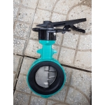 VAN BƯỚM TOMOE - NHẬT                 