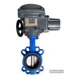                       VAN BƯỚM ĐIỀU KHIỂN BẰNG ĐIỆN                 