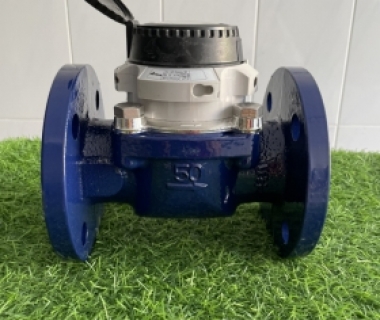 Khui hộp đồng hồ nước Sensus DN50 cho nước 50°C kiểu PN16, L=200